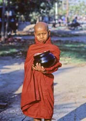 Burma  Photo