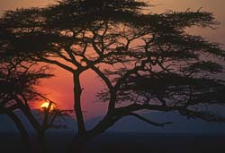 Kenya - Scenery